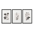 Beige Wall Art Botanical Pressed Flower & Leaf wall art in a black frame
