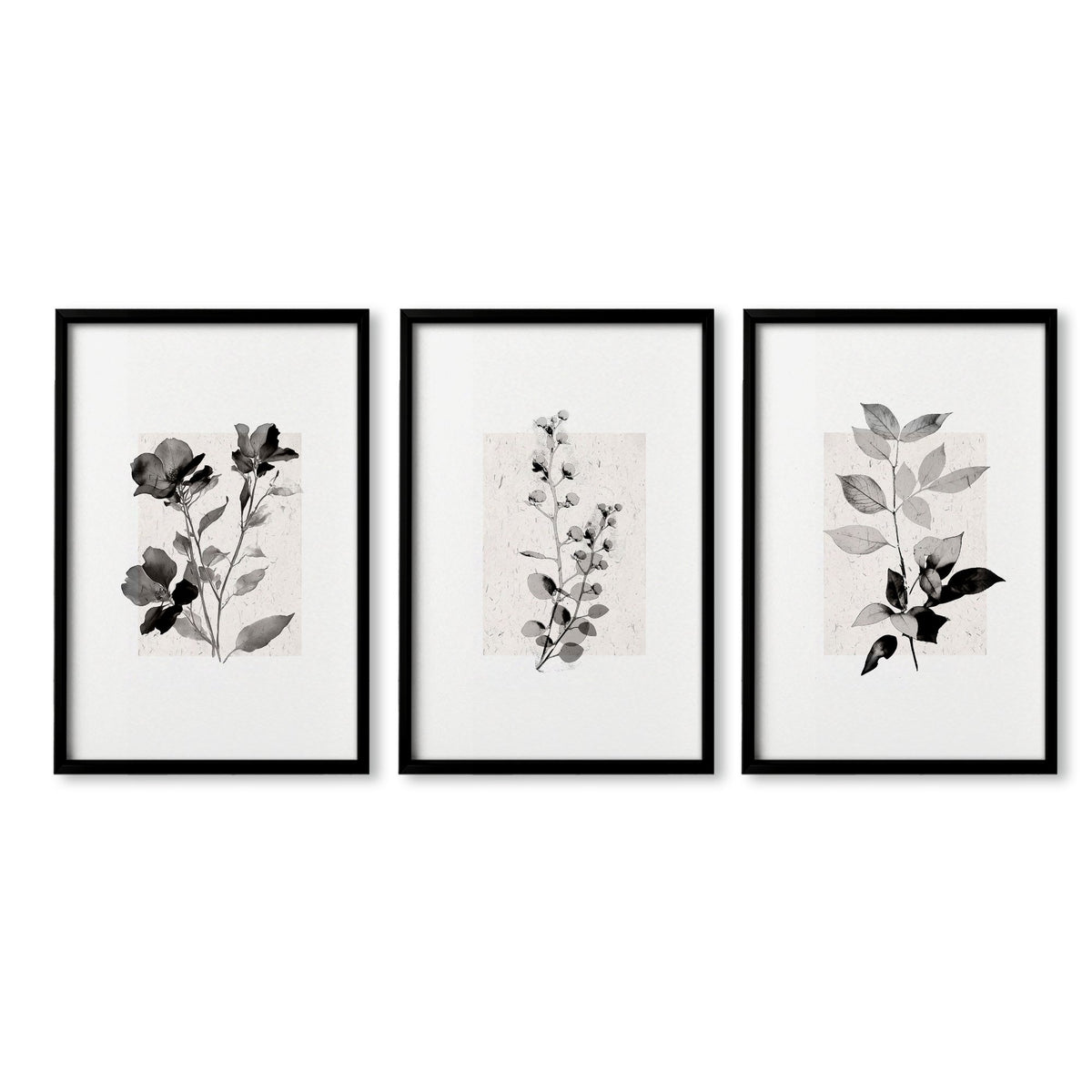 Beige Wall Art Botanical Pressed Flower & Leaf wall art in a black frame