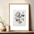 Beige Wall Art Botanical Pressed Flower & Leaf Prints | Set of 3