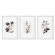 Beige Wall Art Botanical Pressed Flower & Leaf Prints | Set of 3