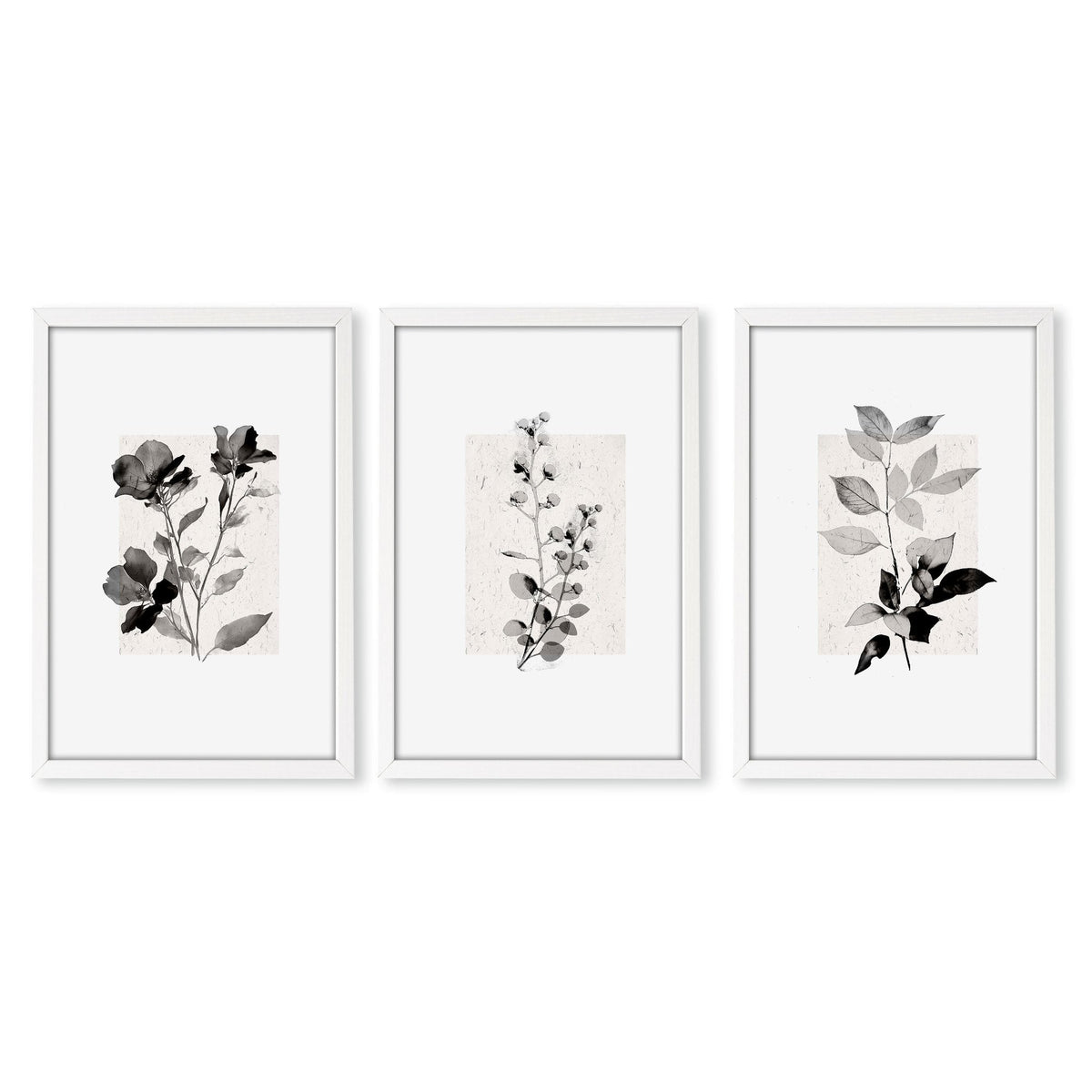 Beige Wall Art Botanical Pressed Flower & Leaf Prints | Set of 3