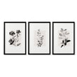 Beige Wall Art Botanical Pressed Flower & Leaf Prints | Set of 3