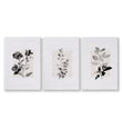 Beige Wall Art Botanical Pressed Flower & Leaf Prints | Set of 3