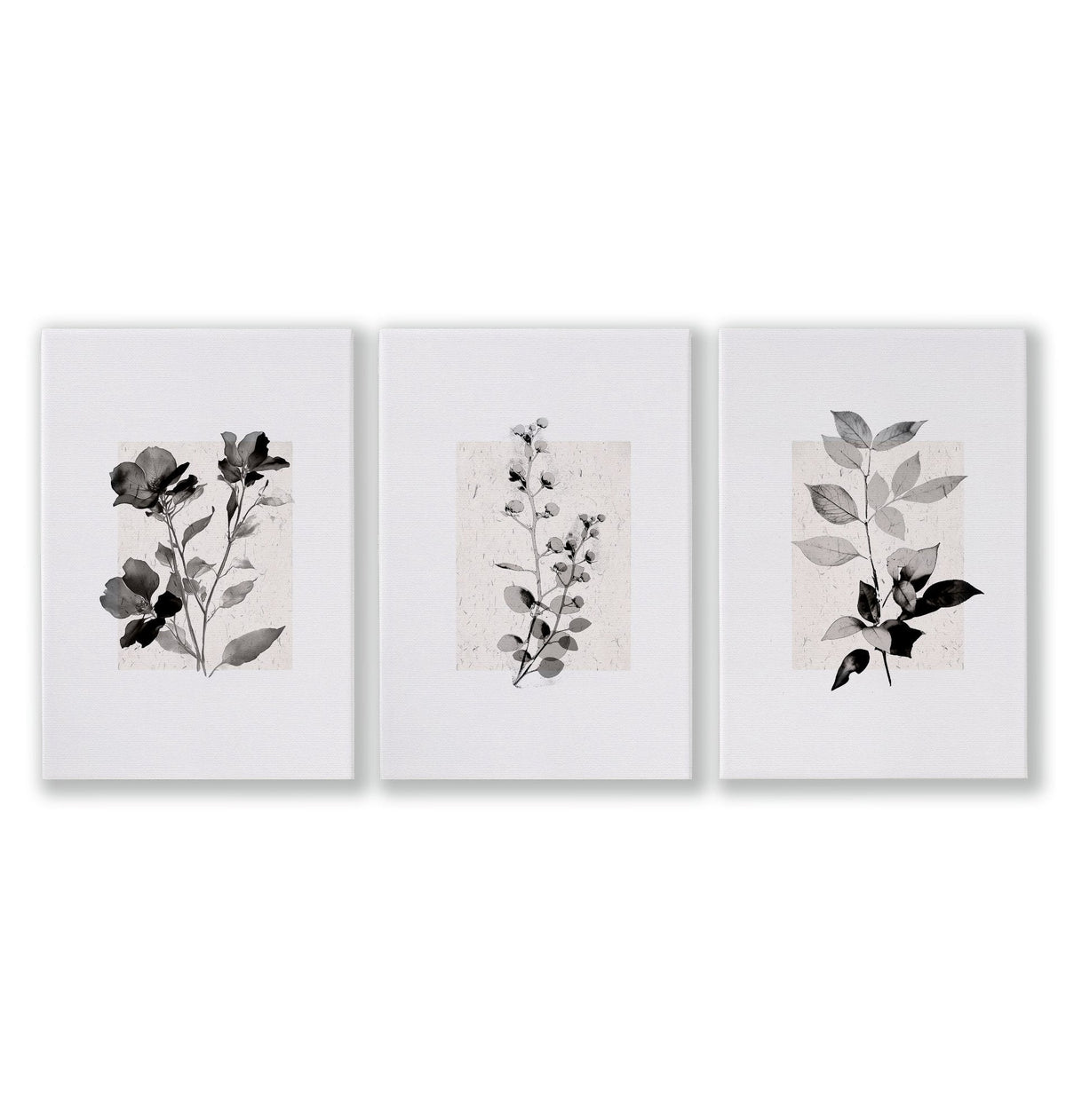 Beige Wall Art Botanical Pressed Flower & Leaf Prints | Set of 3