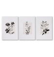 Beige Wall Art Botanical Pressed Flower & Leaf wall art as a wrapped canvas