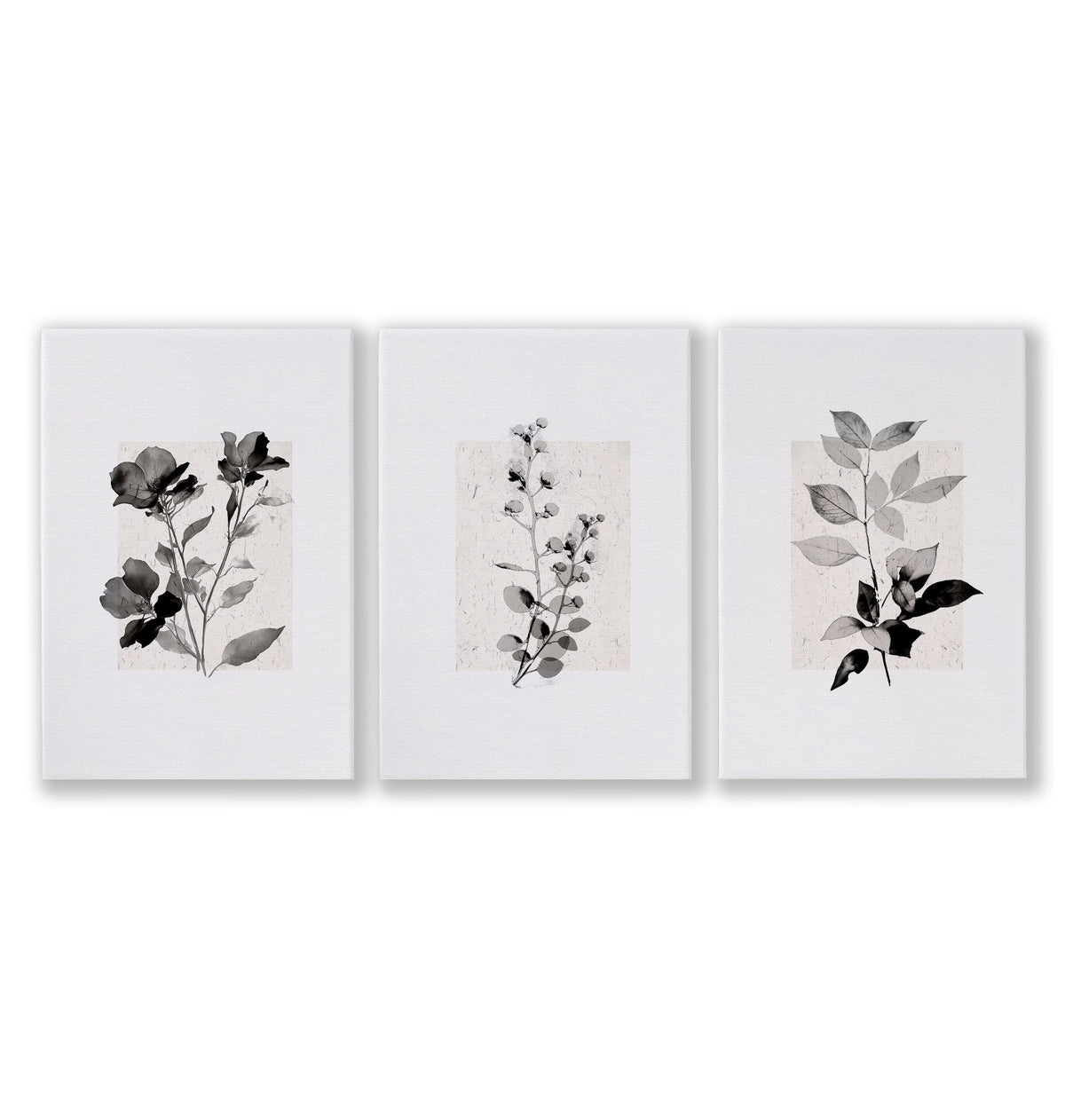 Beige Wall Art Botanical Pressed Flower & Leaf wall art as a wrapped canvas