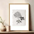 Beige Wall Art Botanical Pressed Flower & Leaf wall art — piece 2 of 3 in the set