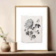 Beige Wall Art Botanical Pressed Flower & Leaf wall art — piece 3 of 3 in the set