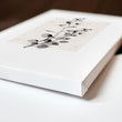 Beige Wall Art Botanical Pressed Flower & Leaf wall art displayed on a wall in a styled room — view 3