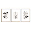 Beige Wall Art Botanical Pressed Flower & Leaf wall art in an oak frame