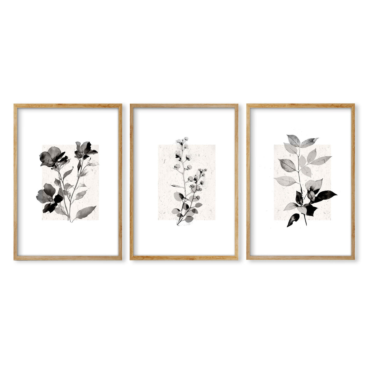 Beige Wall Art Botanical Pressed Flower & Leaf wall art in an oak frame