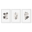 Beige Wall Art Botanical Pressed Flower & Leaf wall art in a white frame