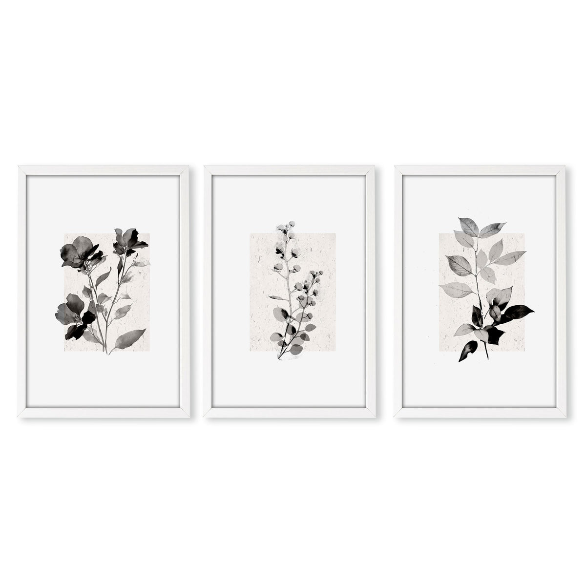 Beige Wall Art Botanical Pressed Flower & Leaf wall art in a white frame