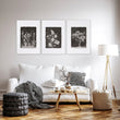 Big Wall Art for Living Room French Country Botanical Dark Floral White Wildflowers displayed on a wall in a styled room — view 14
