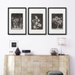 Big Wall Art for Living Room French Country Botanical Dark Floral White Wildflowers displayed on a wall in a styled room — view 9