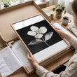 Black Framed Picture French Country Botanical Floral wall art displayed on a wall in a styled room — view 12