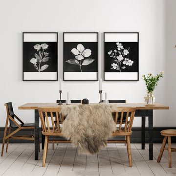 Black Framed Wall Art French Country Botanical Floral wall art displayed on a wall in a styled room — view 5