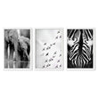 Black White Photography Prints | African Wildlife Elephants Zebra Birds Wall Art | Set of 3