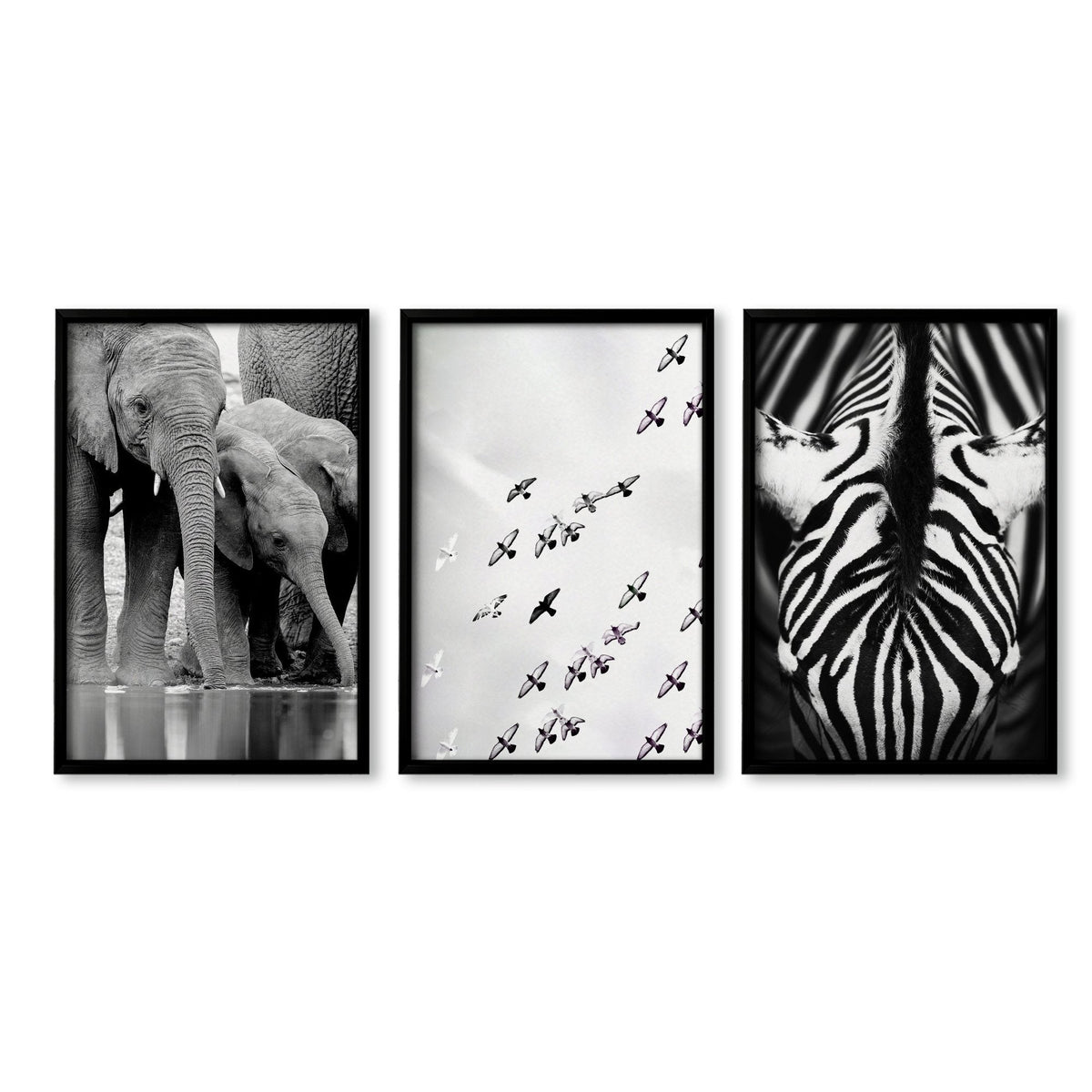 Black White Photography Prints | African Wildlife Elephants Zebra Birds Wall Art | Set of 3