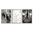 Black White Photography Prints | African Wildlife Elephants Zebra Birds Wall Art | Set of 3