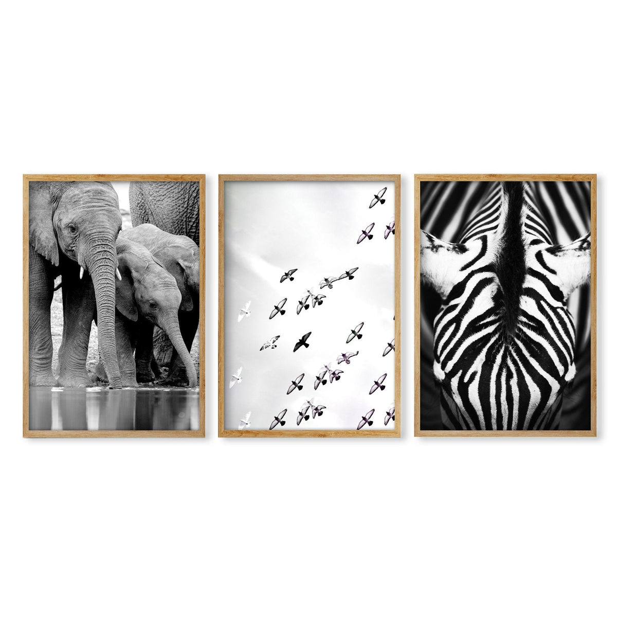 Black White Photography Prints | African Wildlife Elephants Zebra Birds Wall Art | Set of 3