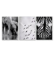 Black White Photography Prints | African Wildlife Elephants Zebra Birds Wall Art | Set of 3