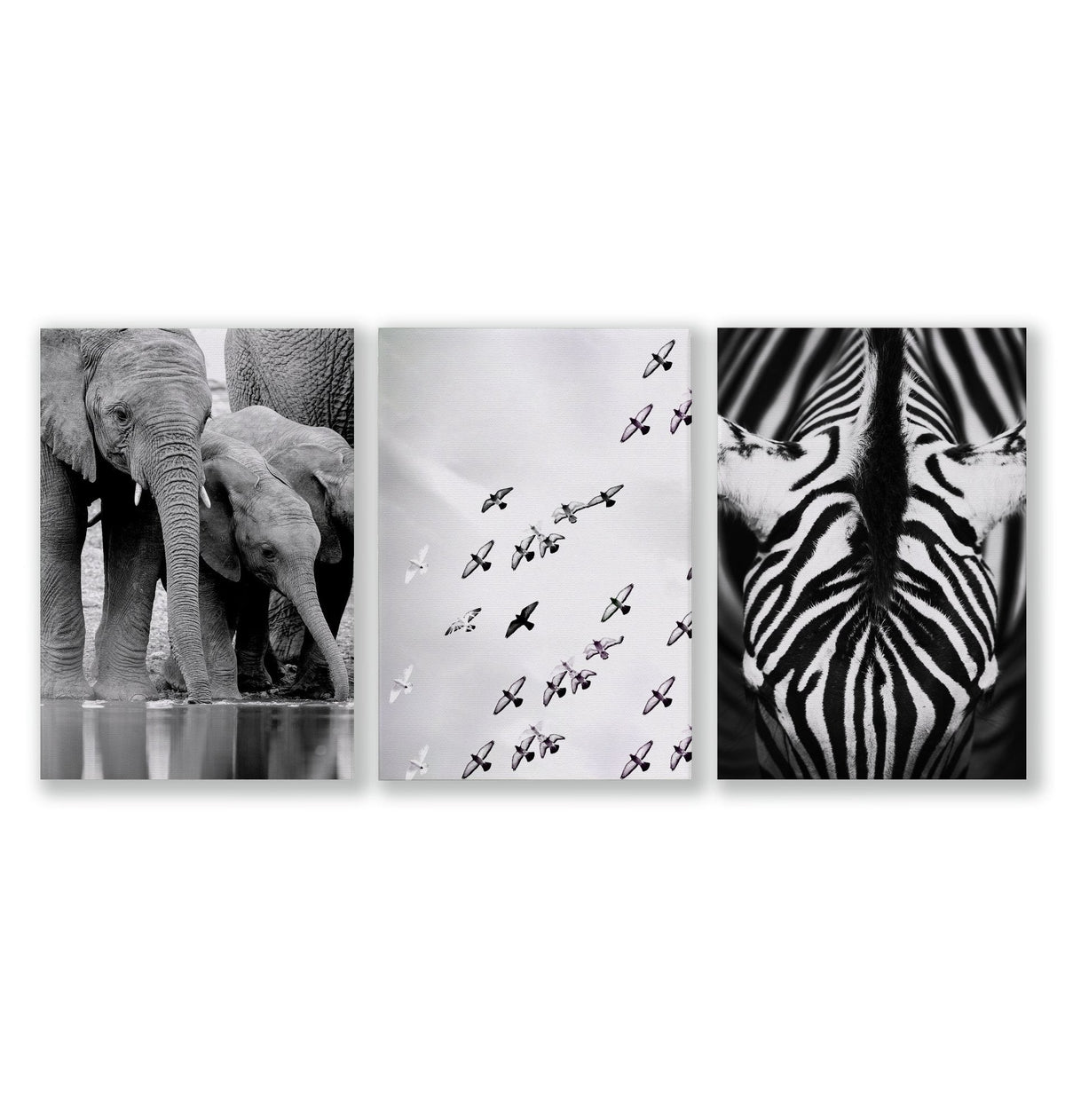 Black White Photography Prints | African Wildlife Elephants Zebra Birds Wall Art | Set of 3
