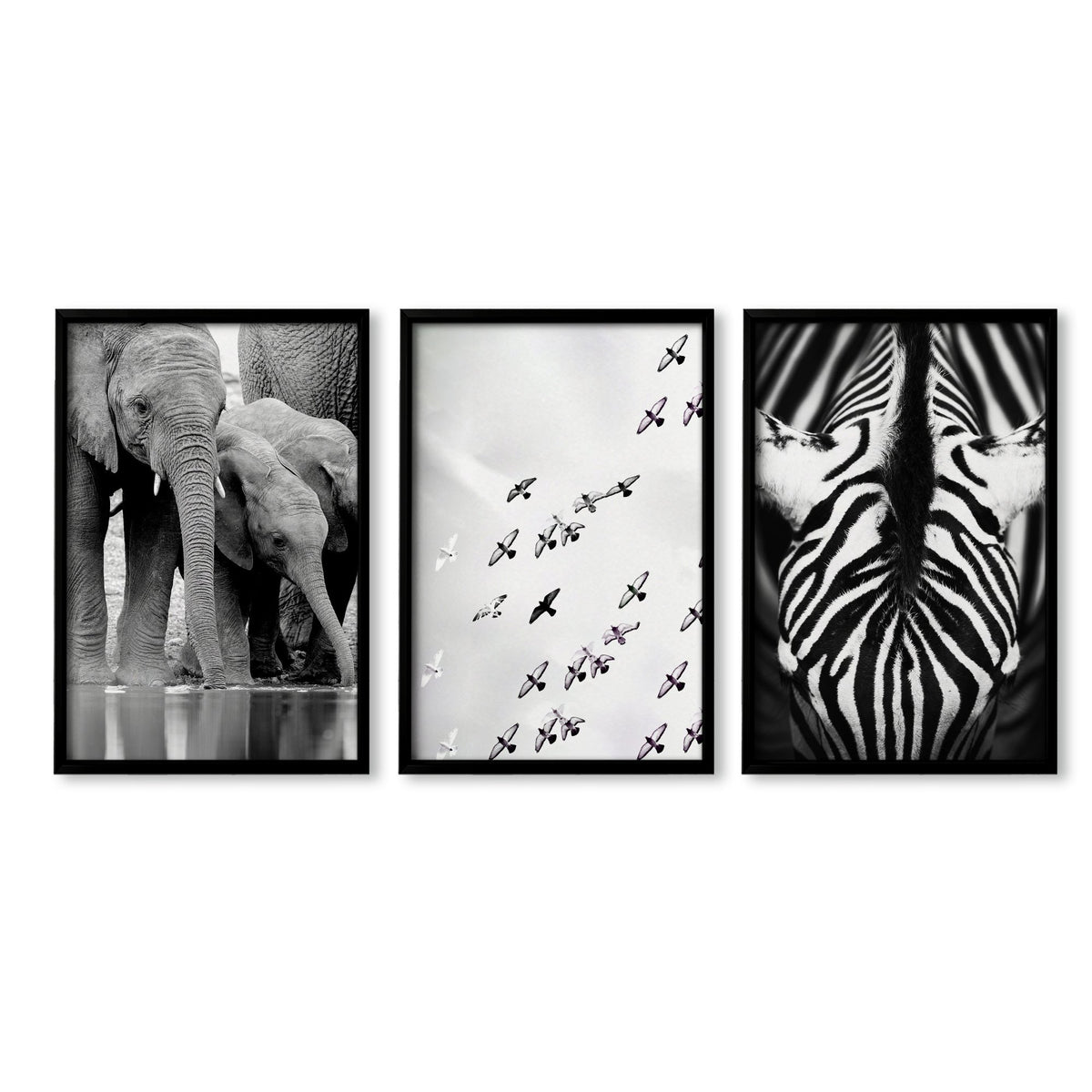 Black White Photography wall art | African Wildlife Elephants Zebra Birds Wall Art in a black frame