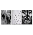 Black White Photography wall art | African Wildlife Elephants Zebra Birds Wall Art as a wrapped canvas