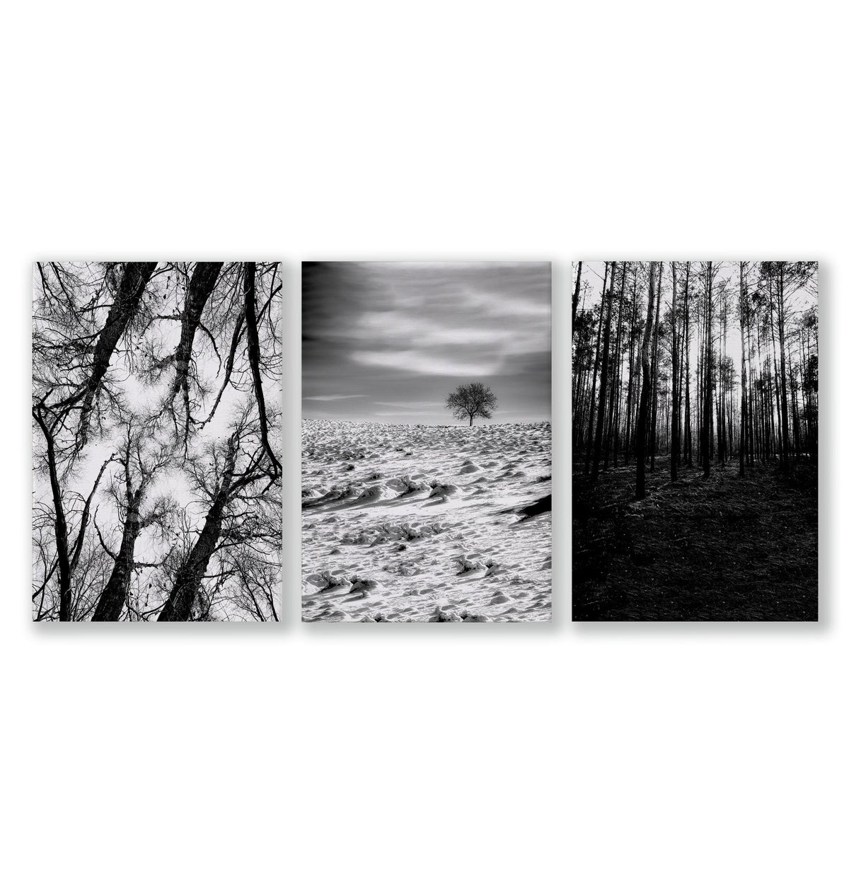 Black White Photography wall art | Winter Nature Landscape wall art as a wrapped canvas