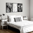 Black White Photography wall art | African Wildlife Elephants Zebra Birds Wall Art displayed on a wall in a styled room — view 8