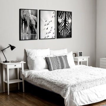 Black White Photography wall art | African Wildlife Elephants Zebra Birds Wall Art displayed on a wall in a styled room — view 8