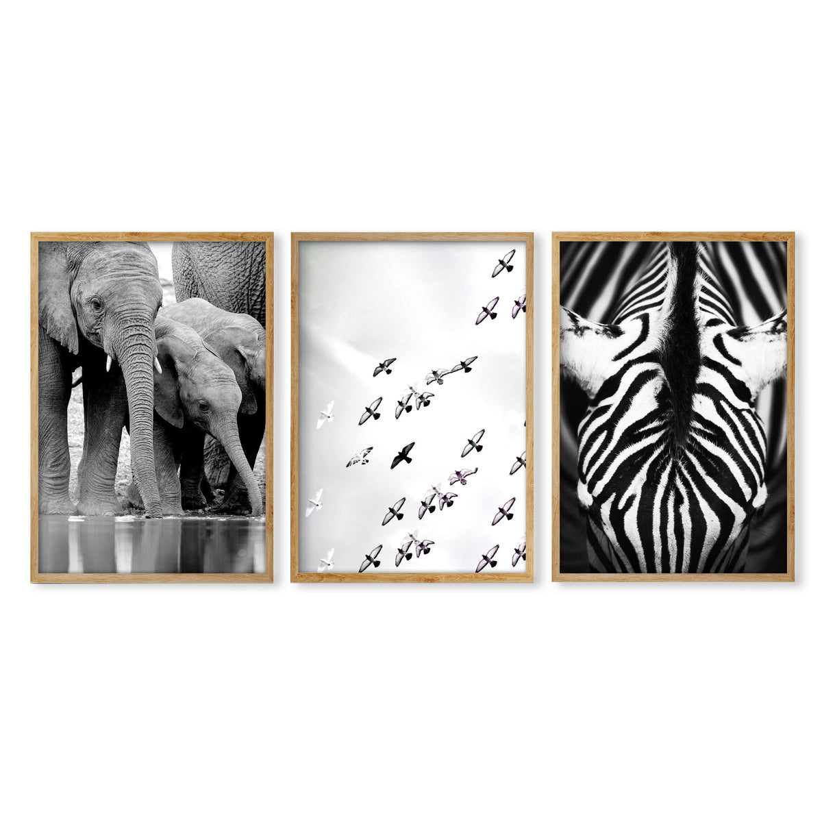 Black White Photography wall art | African Wildlife Elephants Zebra Birds Wall Art in an oak frame