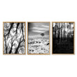 Black White Photography wall art | Winter Nature Landscape wall art in an oak frame