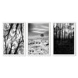 Black White Photography Prints | Winter Nature Landscape Wall Art Prints | Set of 3