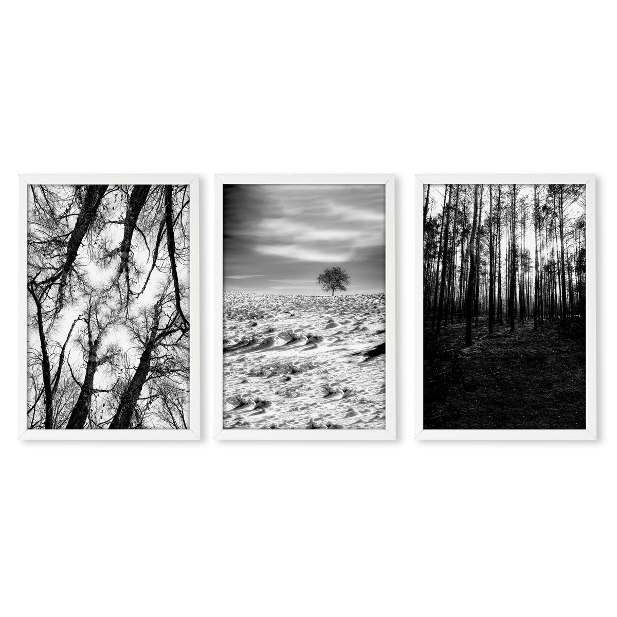Black White Photography Prints | Winter Nature Landscape Wall Art Prints | Set of 3