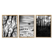 Black White Photography Prints | Winter Nature Landscape Wall Art Prints | Set of 3