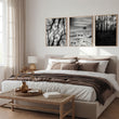 Black White Photography Prints | Winter Nature Landscape Wall Art Prints | Set of 3