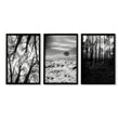 Black White Photography Prints | Winter Nature Landscape Wall Art Prints | Set of 3