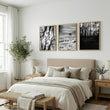 Black White Photography Prints | Winter Nature Landscape Wall Art Prints | Set of 3