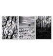 Black White Photography Prints | Winter Nature Landscape Wall Art Prints | Set of 3