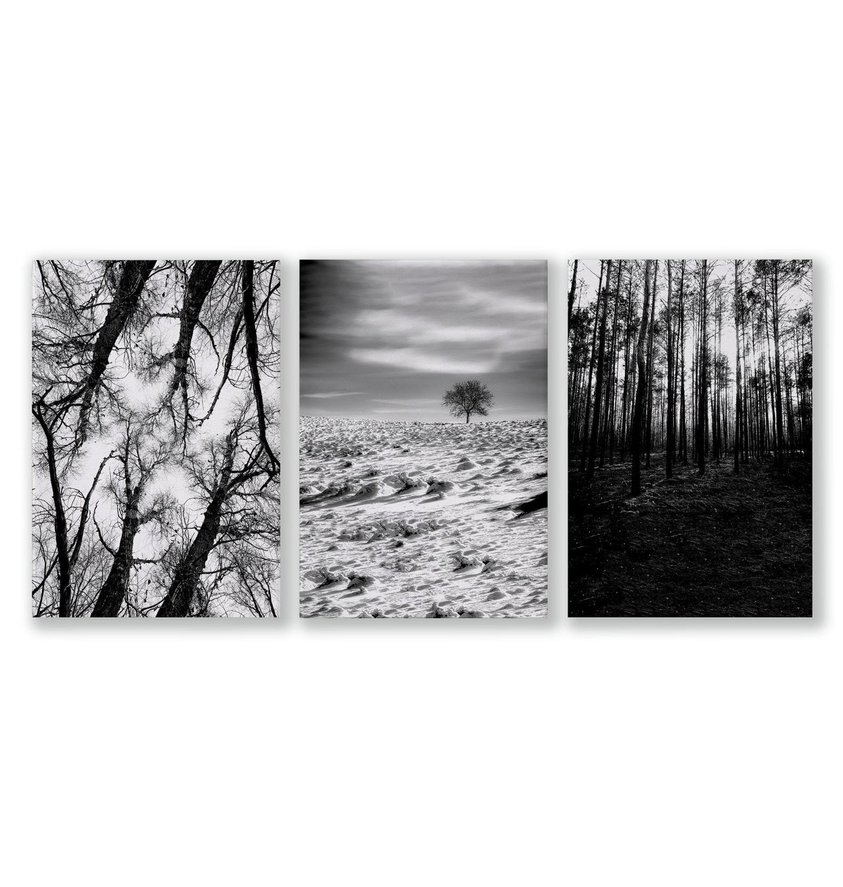 Black White Photography Prints | Winter Nature Landscape Wall Art Prints | Set of 3