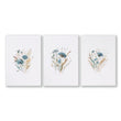 Blue Color Wall Art | Set of 3 Botanical Wall art Prints