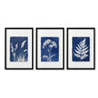 Blue Wall Art Botanical Cyanotype wall art | Indigo Grass, Wildflower & Fern in a black frame