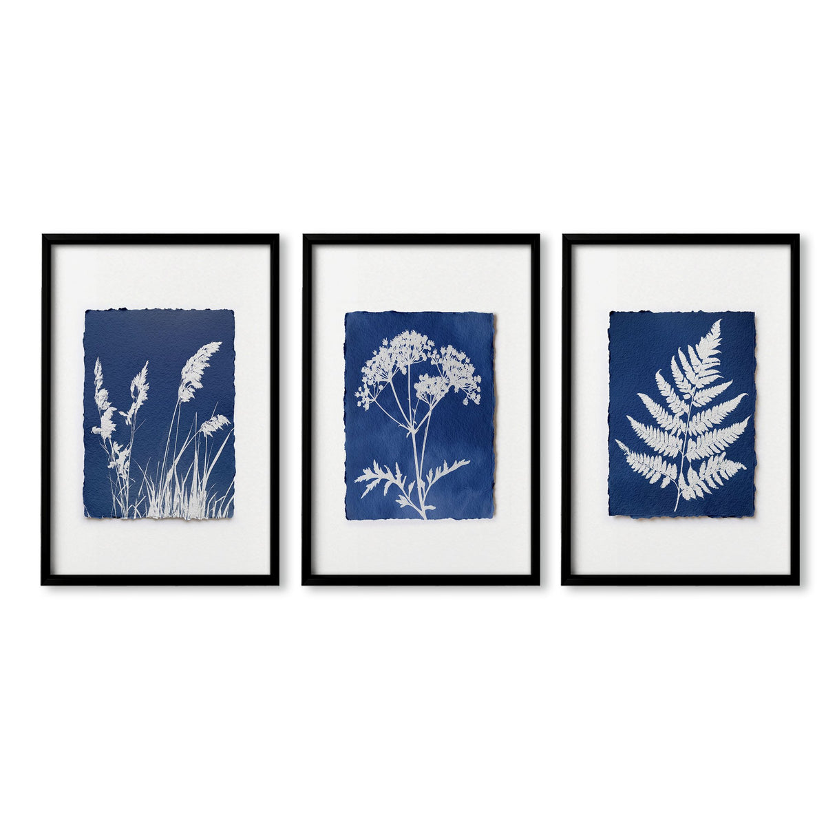 Blue Wall Art Botanical Cyanotype wall art | Indigo Grass, Wildflower & Fern in a black frame