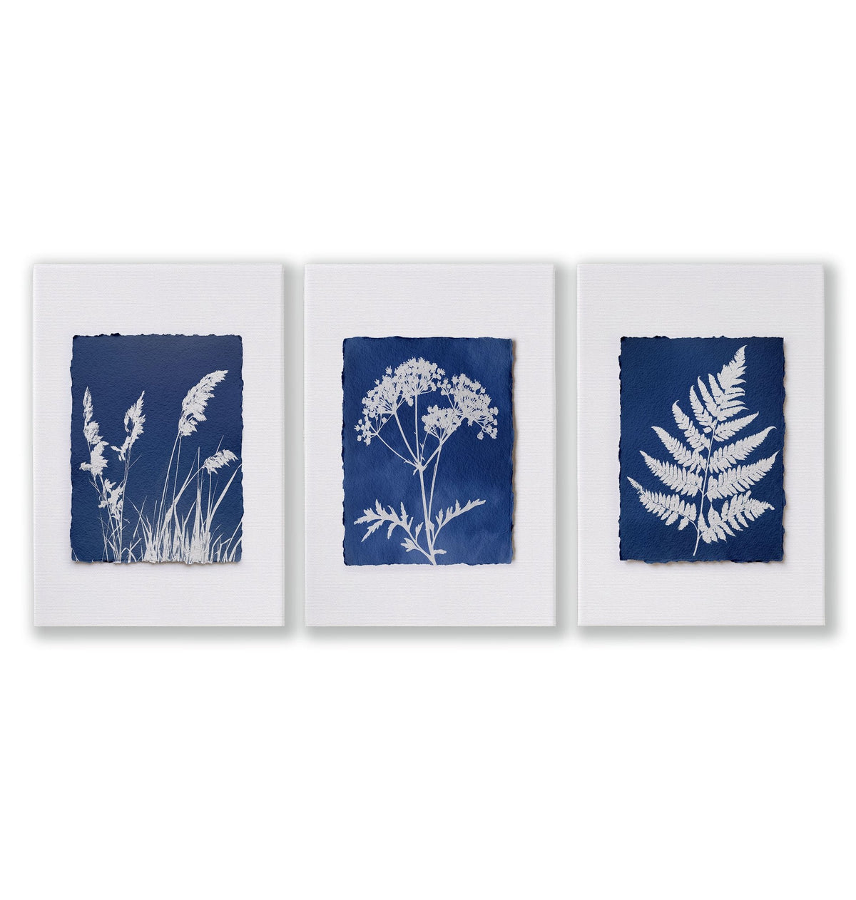 Blue Wall Art Botanical Cyanotype Prints | Indigo Grass, Wildflower & Fern | Set of 3