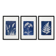 Blue Wall Art Botanical Cyanotype Prints | Indigo Grass, Wildflower & Fern | Set of 3