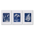 Blue Wall Art Botanical Cyanotype wall art | Indigo Grass, Wildflower & Fern as a wrapped canvas