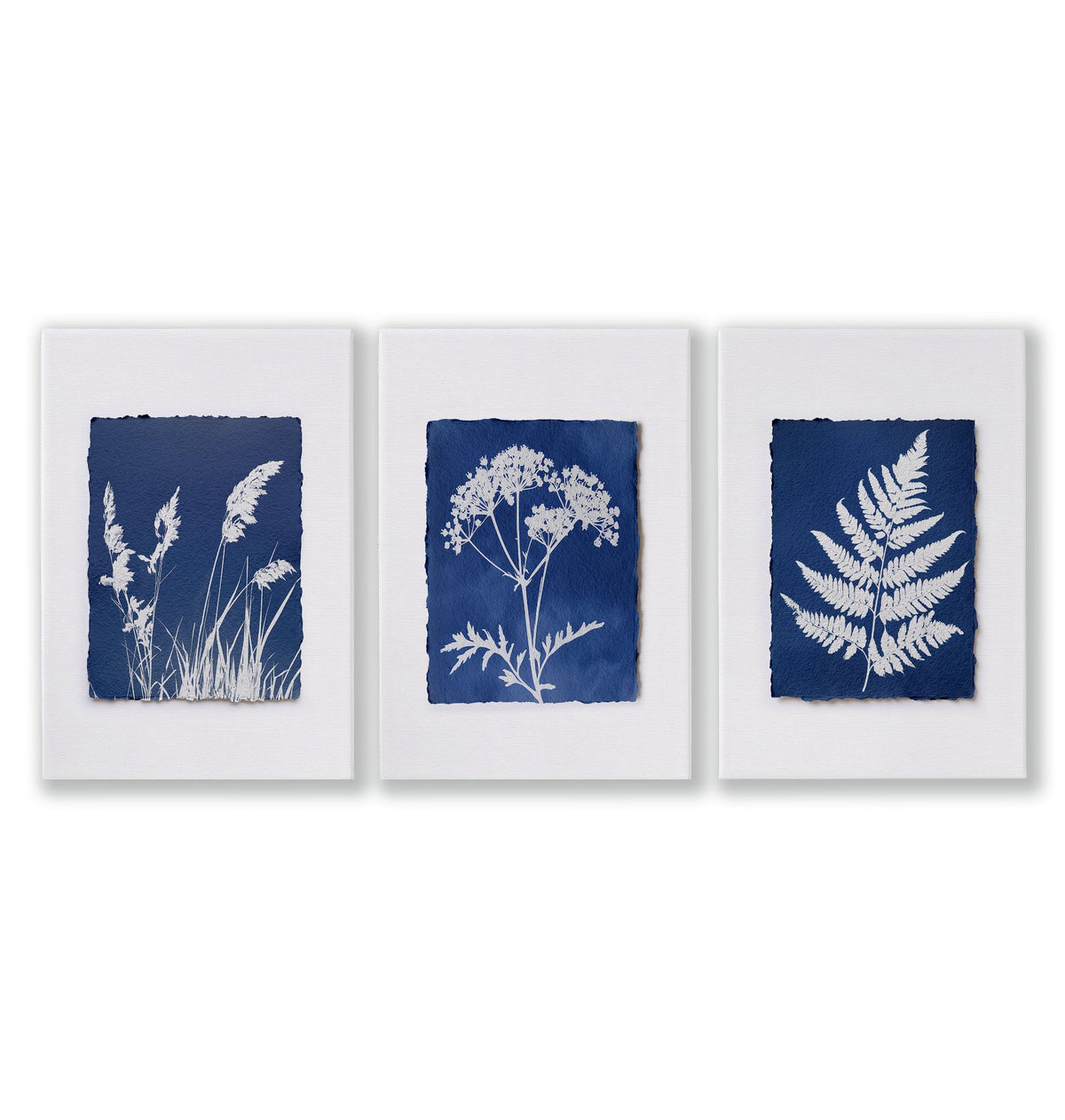 Blue Wall Art Botanical Cyanotype wall art | Indigo Grass, Wildflower & Fern as a wrapped canvas