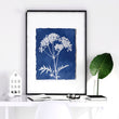 Blue Wall Art Botanical Cyanotype wall art | Indigo Grass, Wildflower & Fern — piece 2 of 3 in the set